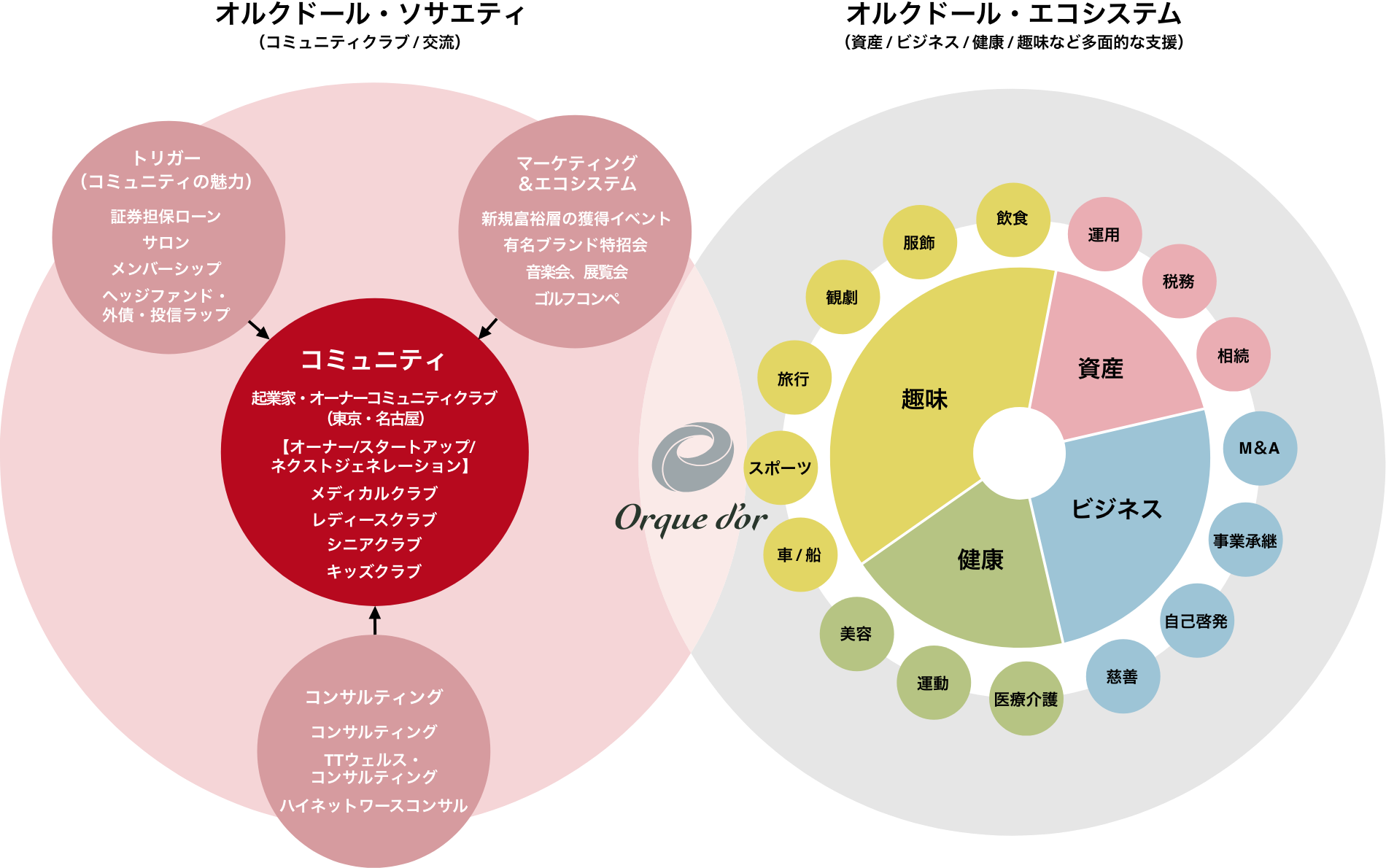 オルクドール・ソサエティ、オルクドール・エコシステム