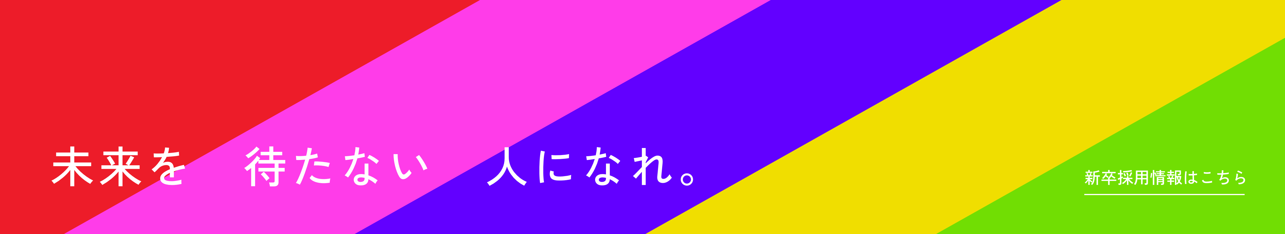 新卒採用情報はこちら