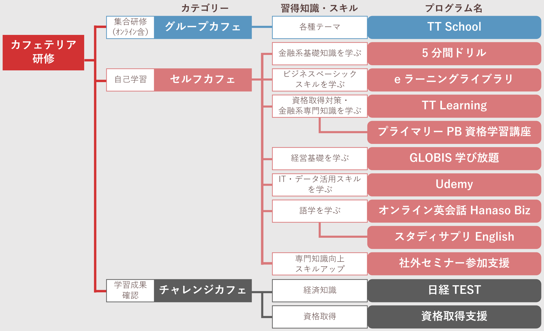 カフェテリア研修体系図