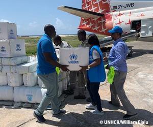 国連難民高等弁務官事務所（UNHCR）が展開する難民支援活動